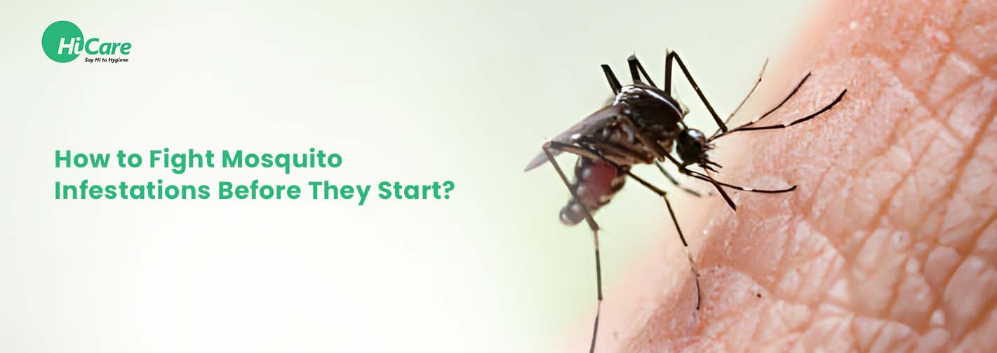 How to Fight Mosquito Infestations Before They Start?