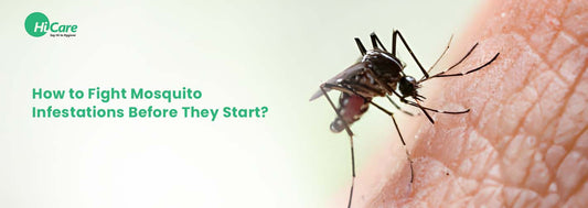 How to Fight Mosquito Infestations Before They Start?