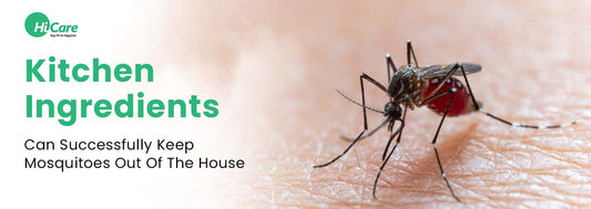 5 Kitchen Ingredients Can Successfully Keep Mosquitoes Out Of The House