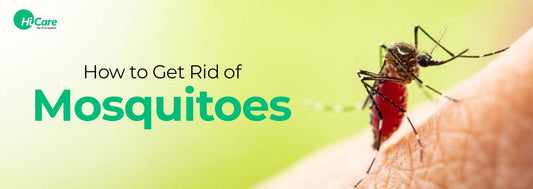 How to Get Rid of Mosquitoes in 2023