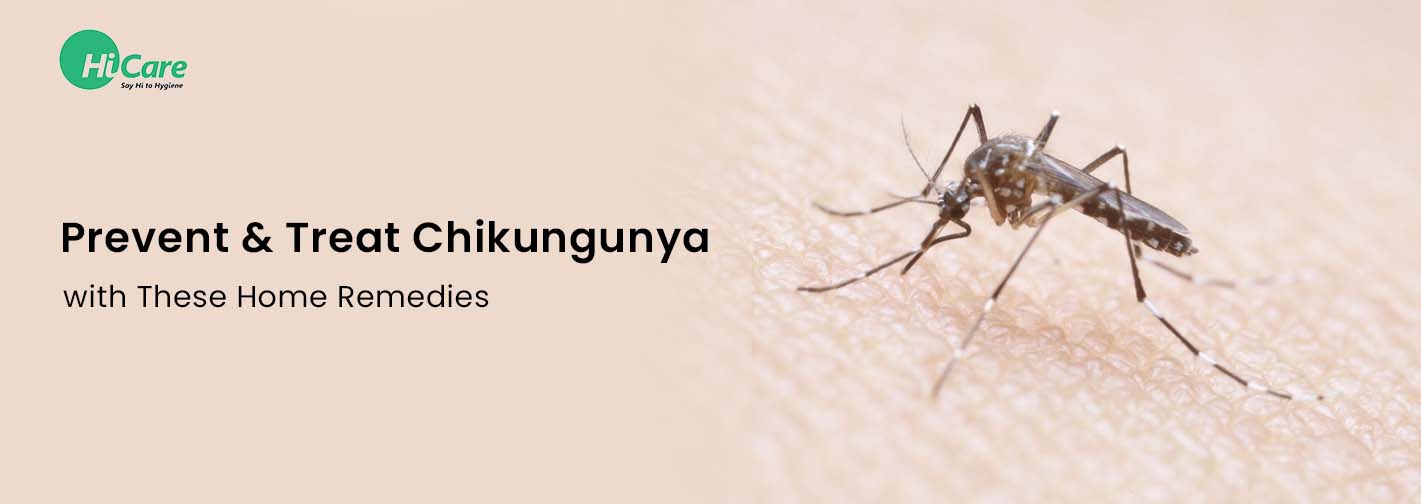 Prevent & Treat Chikungunya with These Home Remedies