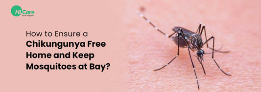 How to Ensure a Chikungunya Free Home and Keep Mosquitoes at Bay?