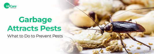 Garbage Attracts Pests  - What To Do to Prevent Pests?
