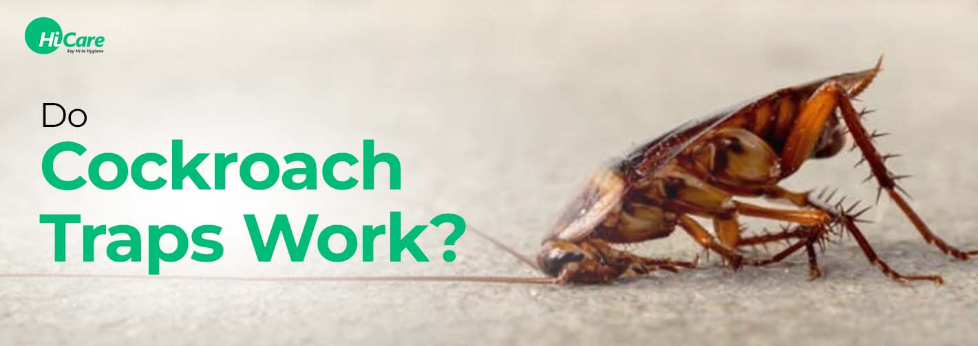 Do Cockroach Traps Work?