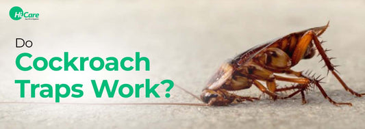 Do Cockroach Traps Work?