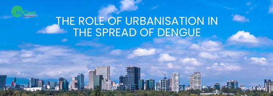 The Role of Urbanisation in the Spread of Dengue