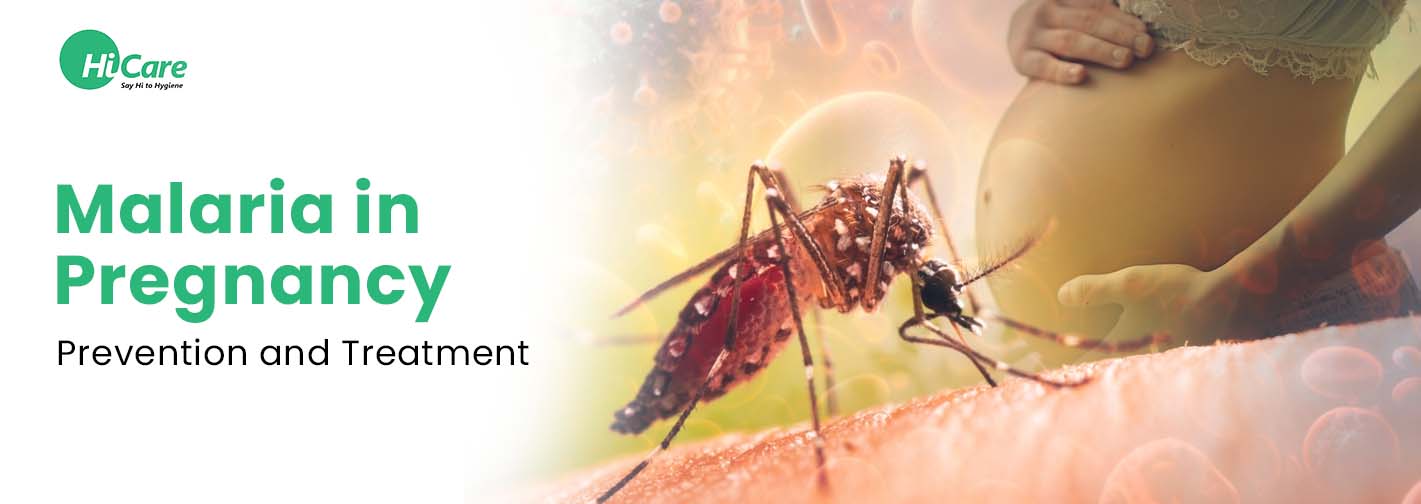 Malaria in Pregnancy: Prevention and Treatment