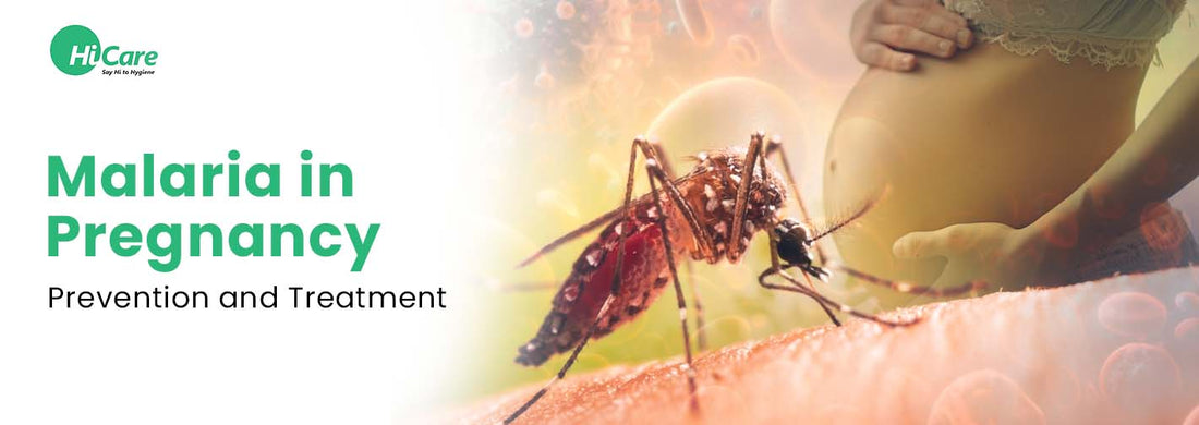 Malaria in Pregnancy: Prevention and Treatment