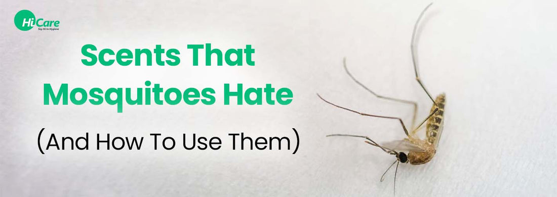 9 Scents That Mosquitoes Hate (And How to Use Them)