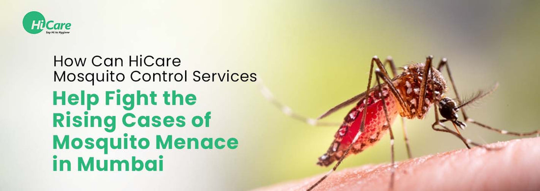 How Can HiCare Mosquito Control Services Help Fight the Rising Cases of Mosquito Menace in Mumbai in 2024