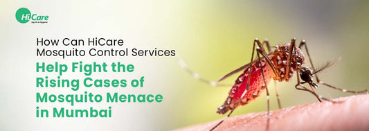 How Can HiCare Mosquito Control Services Help Fight the Rising Cases of Mosquito Menace in Mumbai in 2024