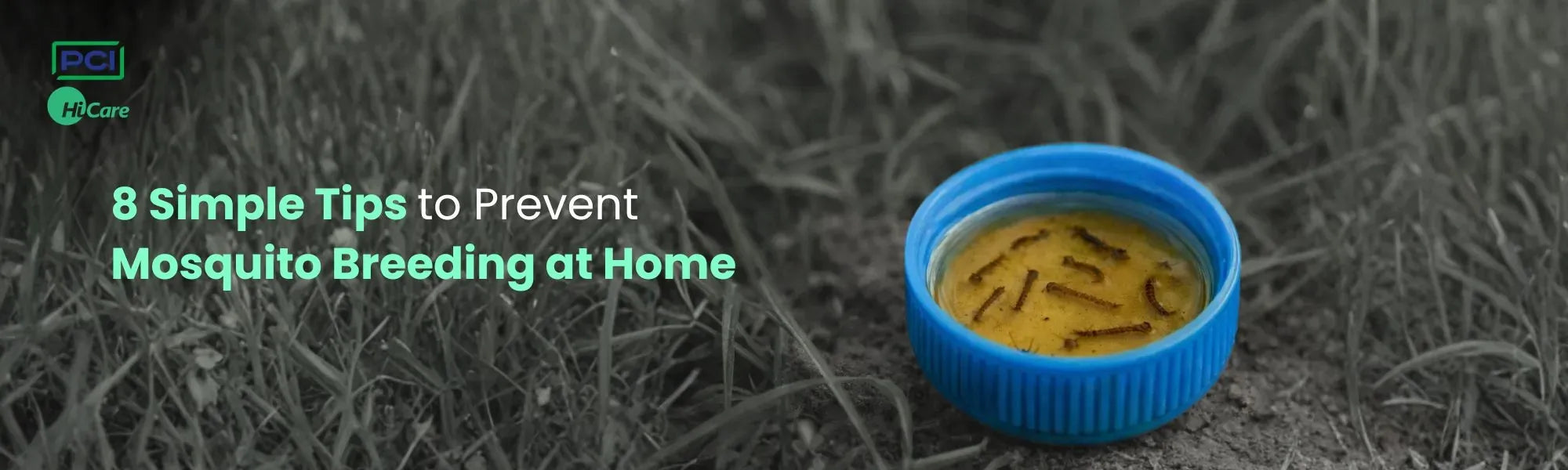 8 Simple Tips to Prevent Mosquito Breeding at Home
