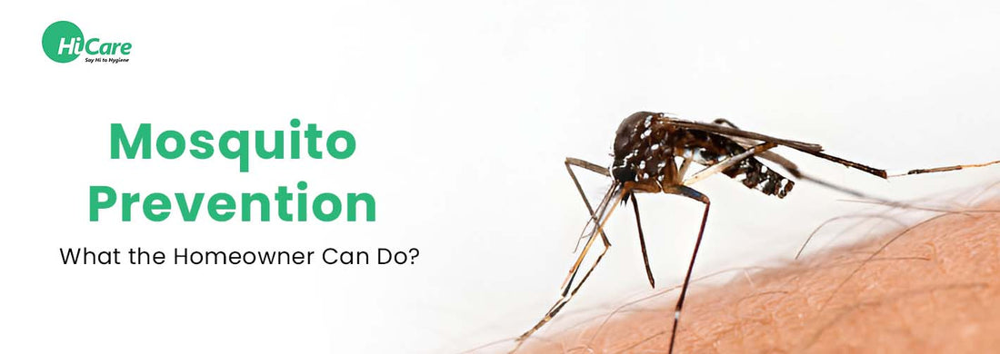 Mosquito Prevention: What the Homeowner Can Do?