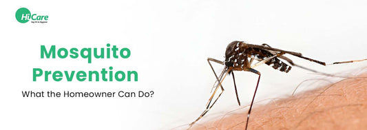 Mosquito Prevention: What the Homeowner Can Do?