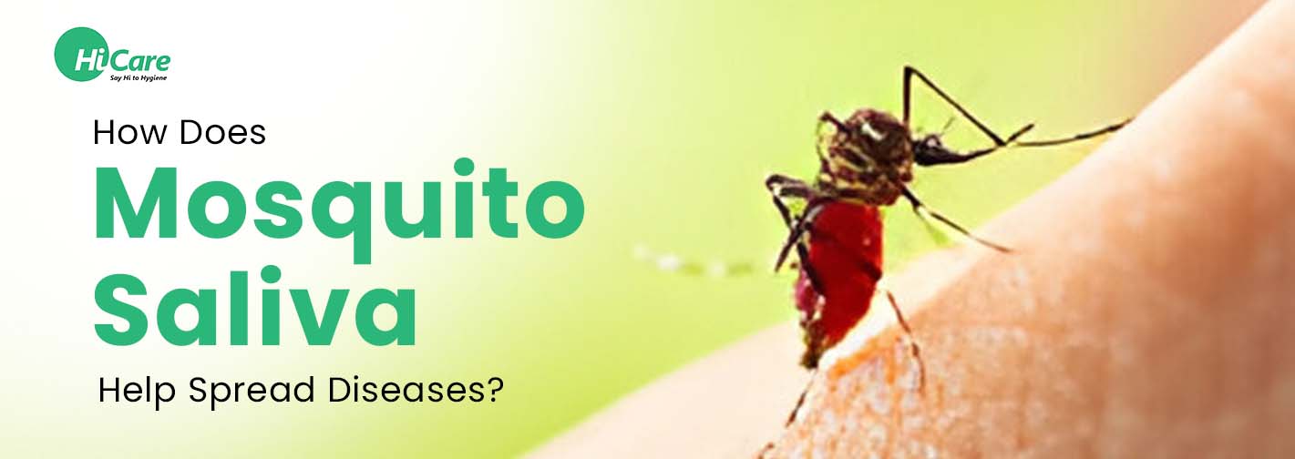 How Does Mosquito Saliva Help Spread Diseases?