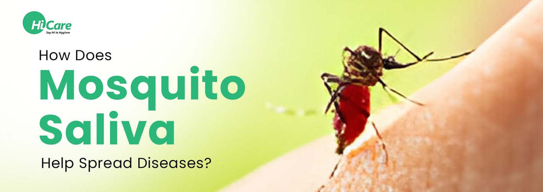 How Does Mosquito Saliva Help Spread Diseases?