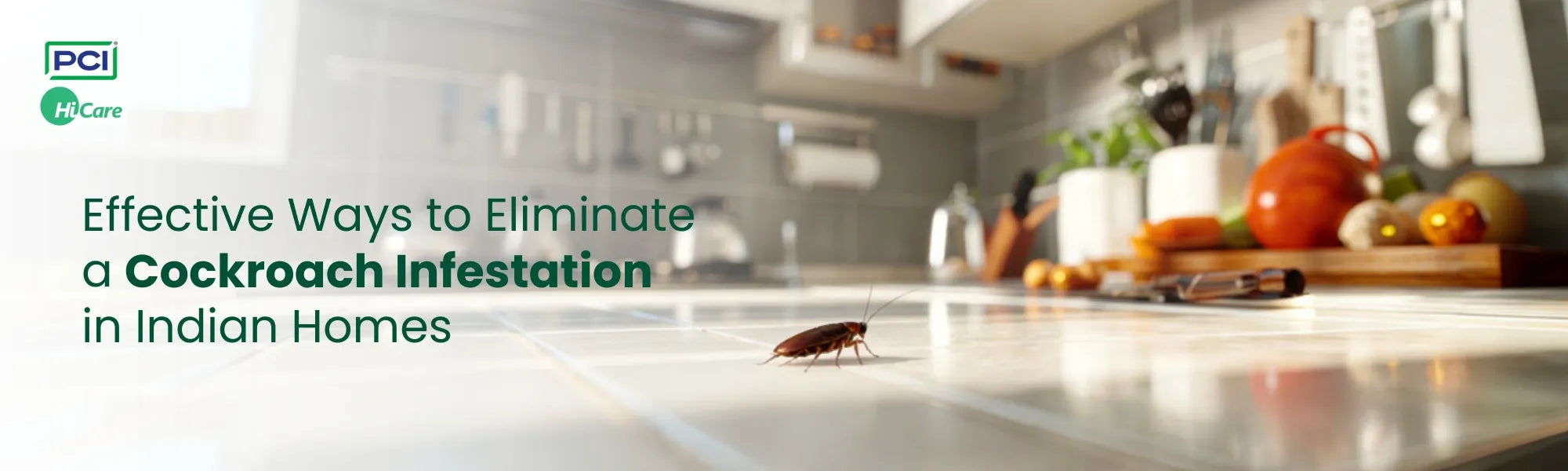 Effective Ways to Eliminate a Cockroach Infestation in Indian Homes