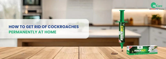 How to Get Rid of Cockroaches Permanently at Home