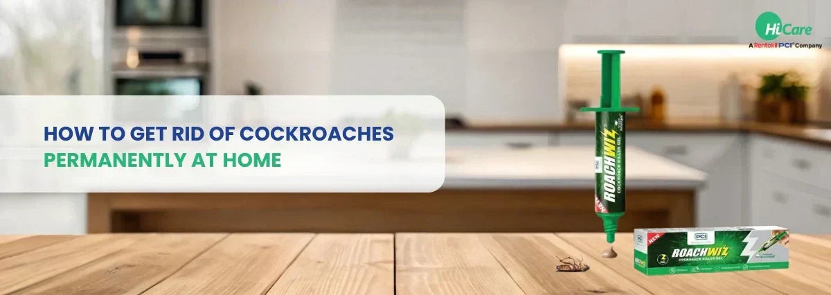 How to Get Rid of Cockroaches Permanently at Home