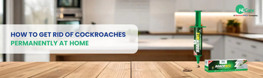 How to Get Rid of Cockroaches Permanently at Home