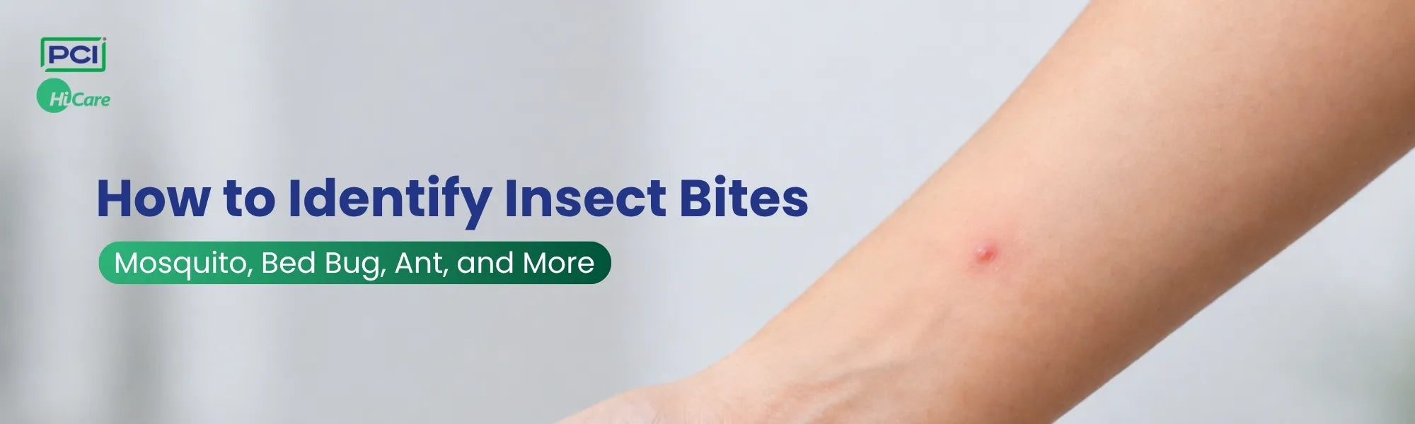 How to Identify Insect Bites: Mosquito, Bed Bug, Ant, Cockroach, and More