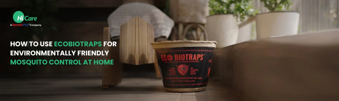 How to Use EcoBioTraps for Eco-Friendly Mosquito Control