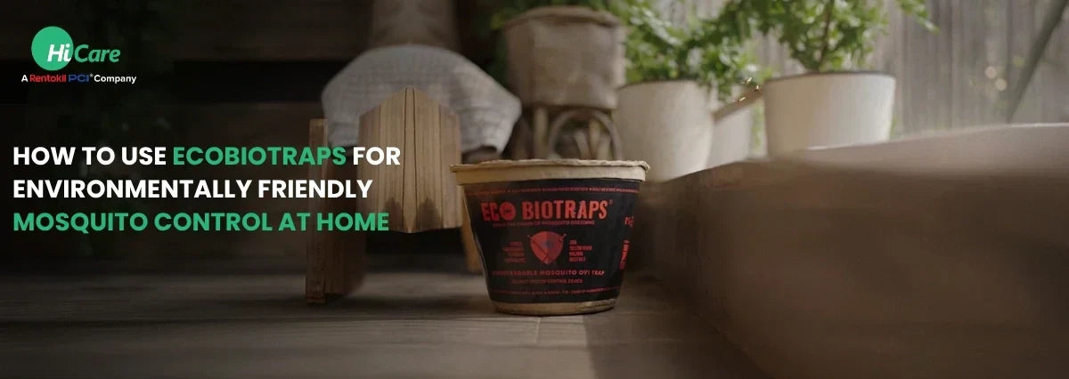 How to Use EcoBioTraps for Eco-Friendly Mosquito Control