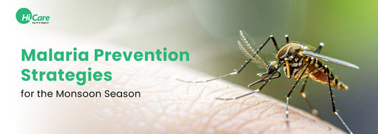 Malaria Prevention Strategies for the Monsoon Season