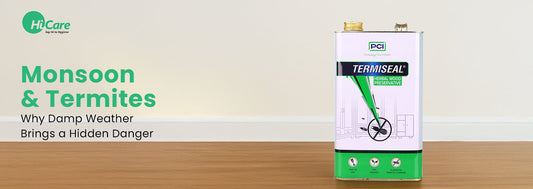 Learn why termites thrive in monsoon’s damp weather and how they silently damage your home. Discover simple tips to protect your space from hidden termite dangers.