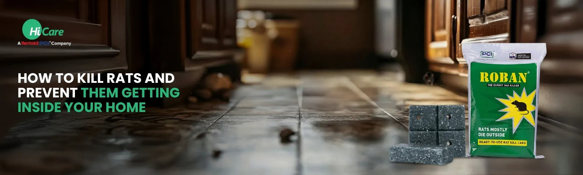 How to Kill Rats and Prevent them from Getting Inside the House