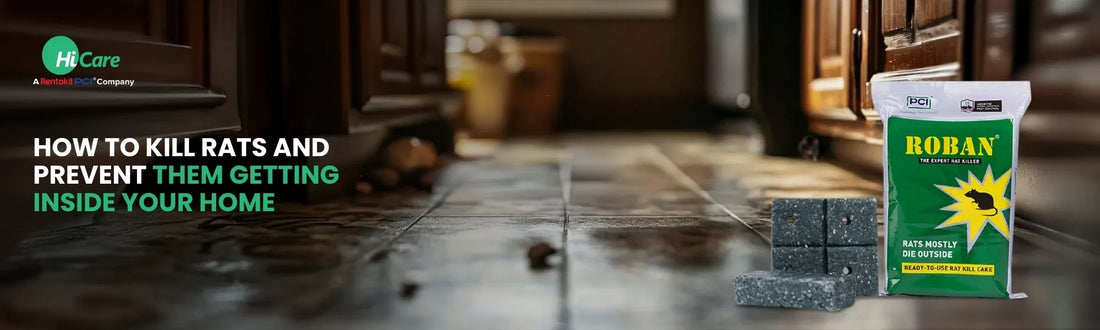 How to Kill Rats and Prevent them from Getting Inside the House