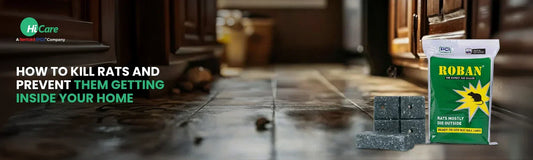 How to Kill Rats and Prevent them from Getting Inside the House