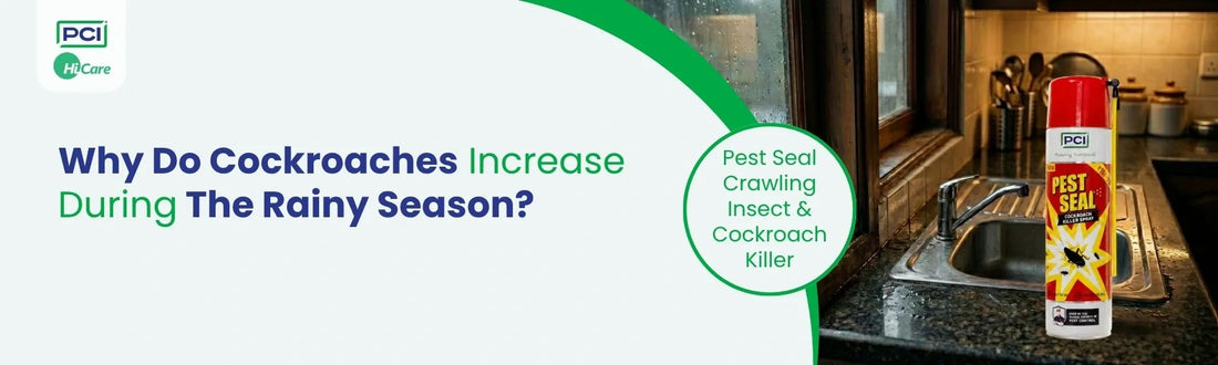 Why Do Cockroaches Increase During the Rainy Season?