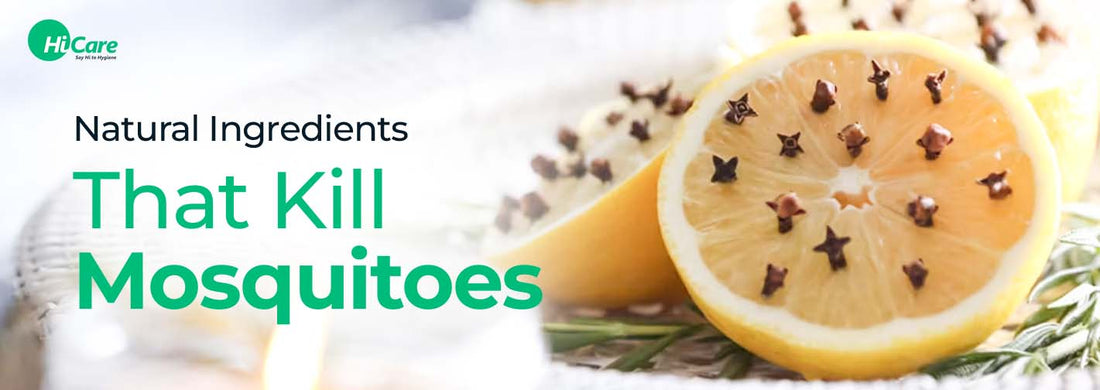 Top 15 Natural Ingredients that Kill Mosquitoes