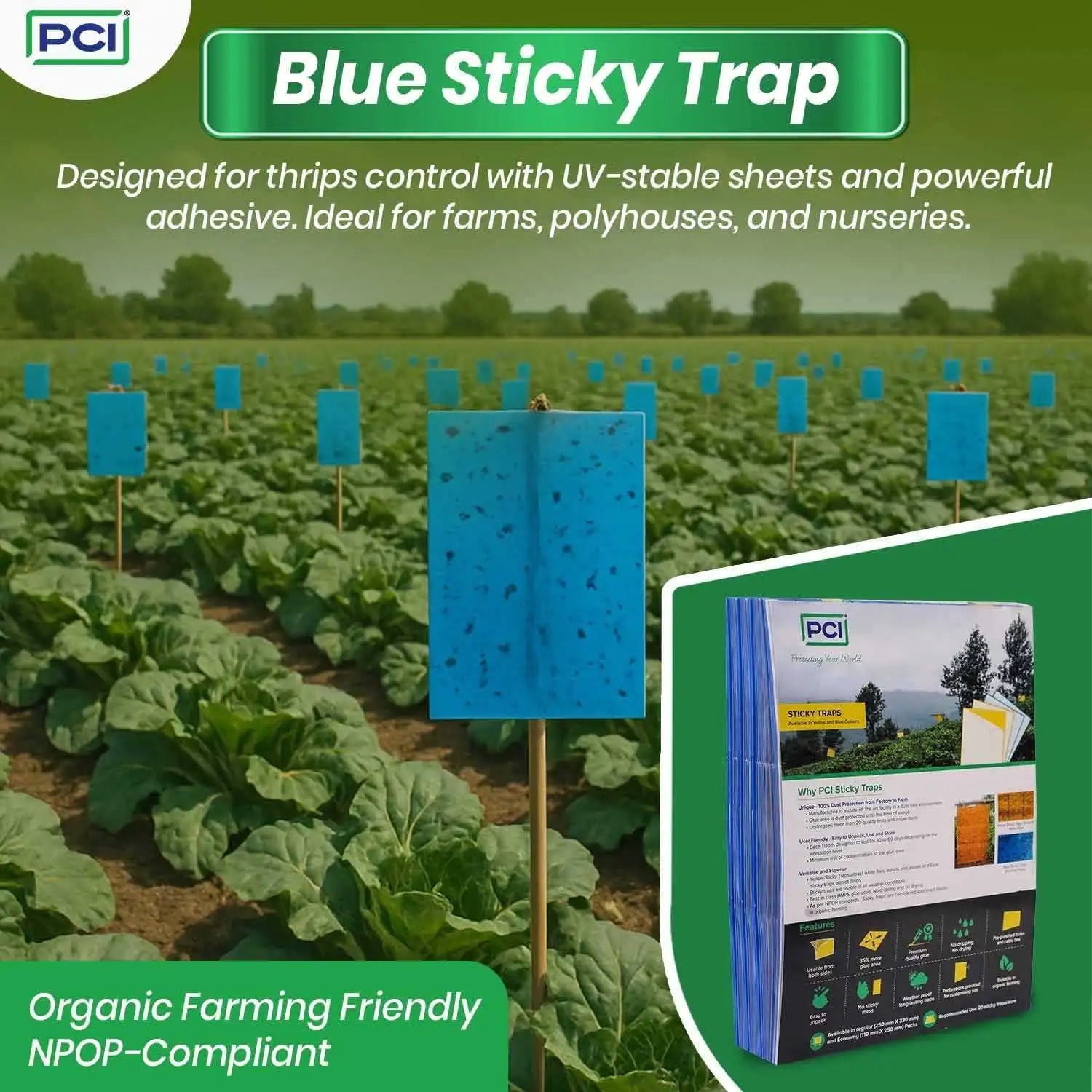 blue sticky traps in farm