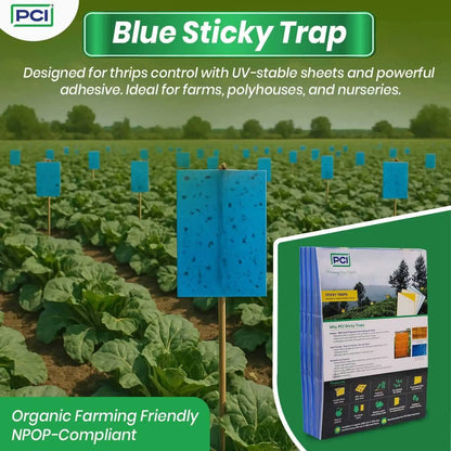 blue sticky traps in farm
