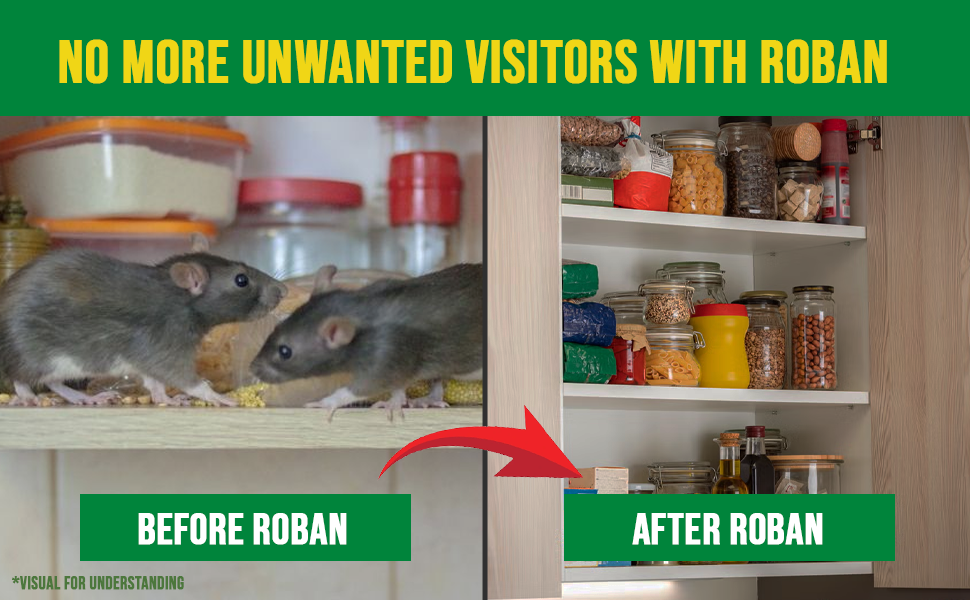 Rodent Cakes | Roban Rat Killer by PCI HiCare