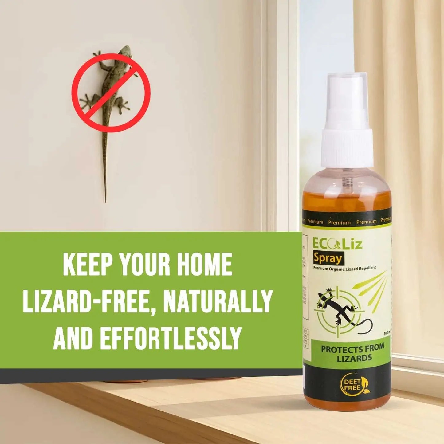 Keep your home lizard free with lizard killer spray