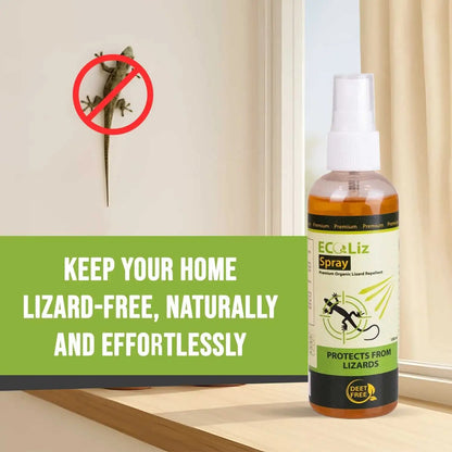 Keep your home lizard free with lizard killer spray