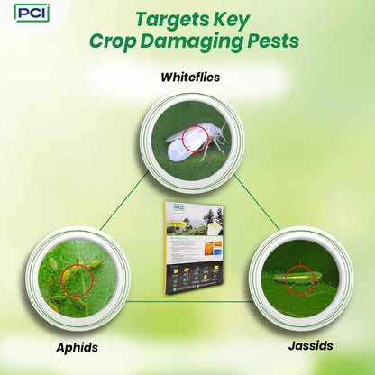 Targets key sticky glue traps