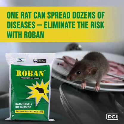 One rat can spread dozens strong rat killer