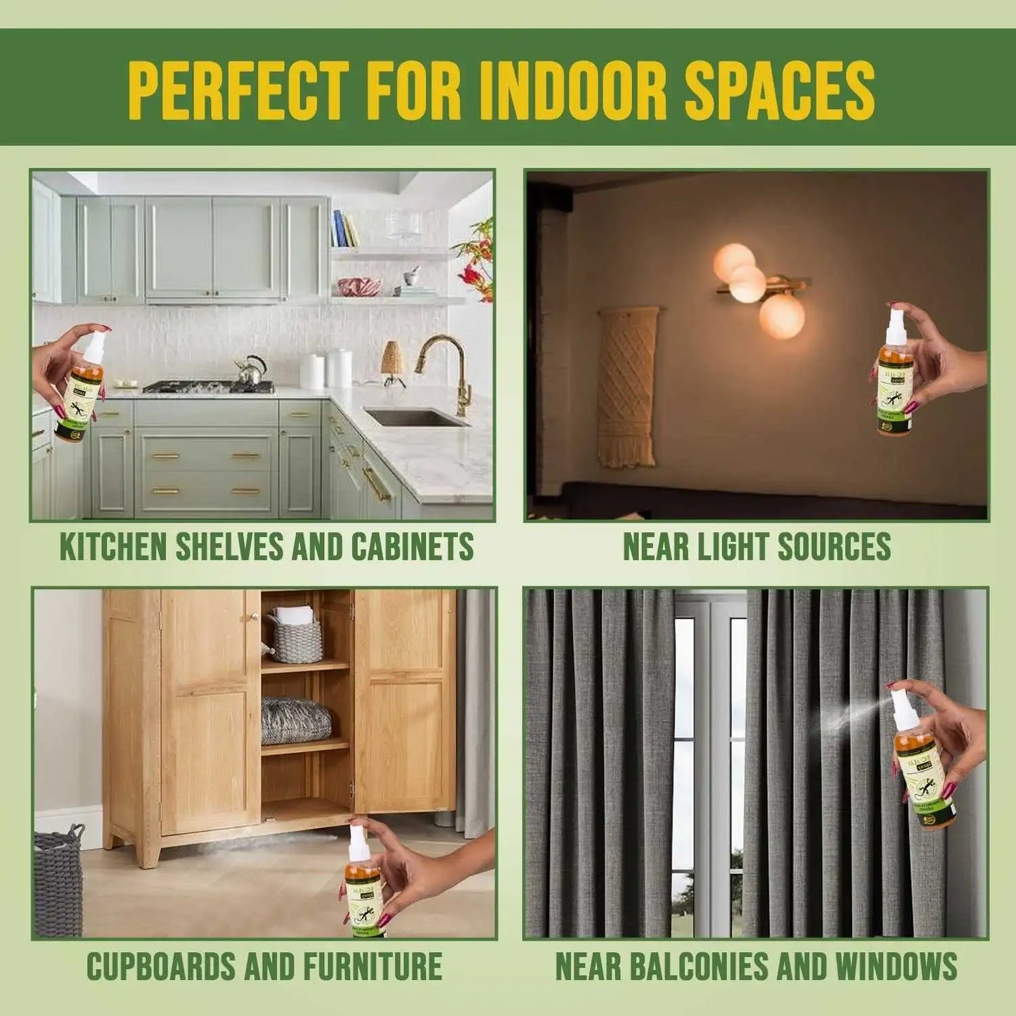 Protect For Indoor Spaces lizard killer spray