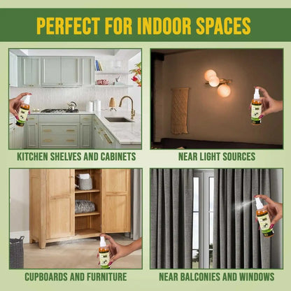 Protect For Indoor Spaces lizard killer spray