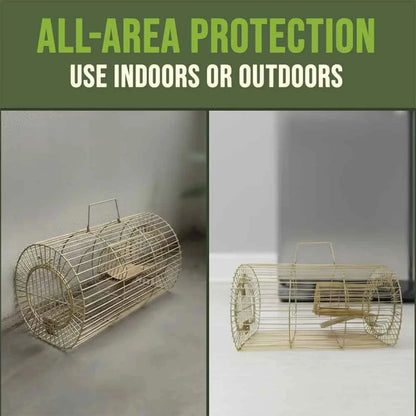 All area protection rodent trap cage