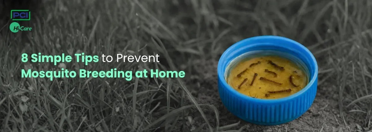 8 Simple Tips to Prevent Mosquito Breeding at Home