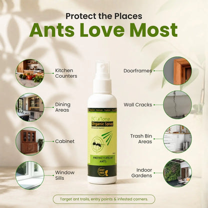 ECO Tone Organic Ant Repellent Spray 100ml