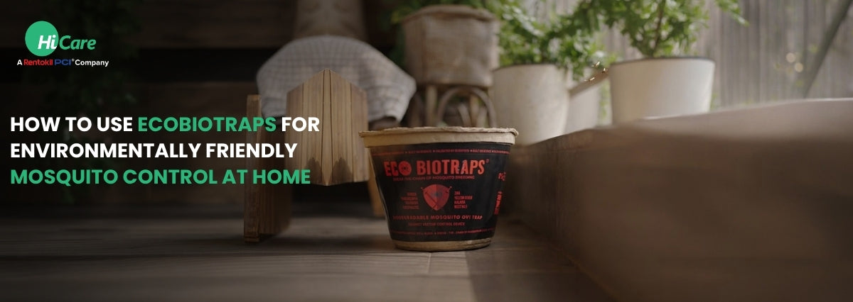 How to Use EcoBioTraps for Eco-Friendly Mosquito Control