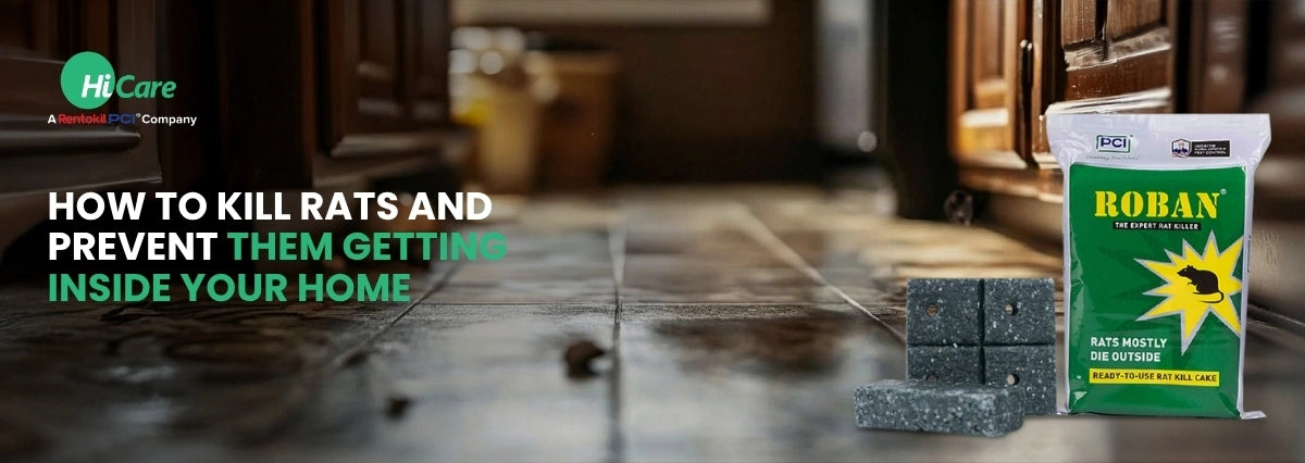 How to Kill Rats and Prevent them from Getting Inside the House
