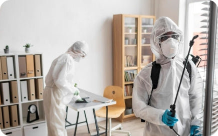 Rentokil PCI: India’s Leading Pest Control Provider