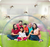 Mosquitoes